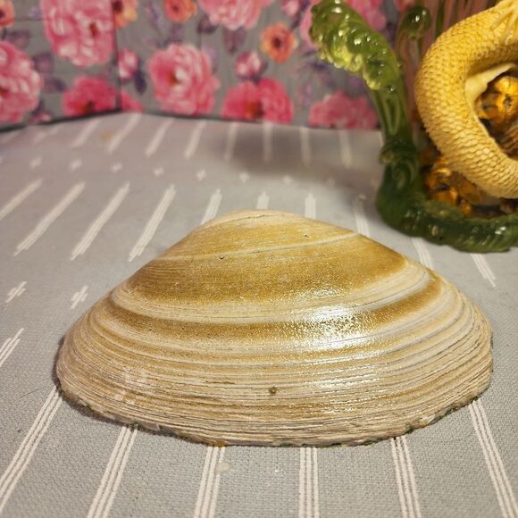 DECOUPAGE CLAM SHELL DECOUPAGE CHRISTMAS TREES ON A CLAM SHELL TRINKET DISH - Picture 10 of 10